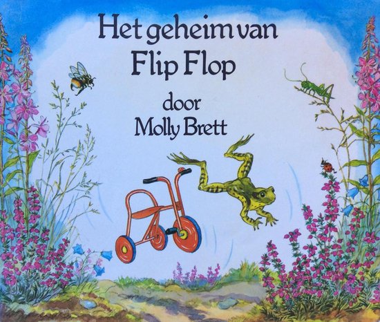Geheim van flip flop - Molly Brett, Onbekend