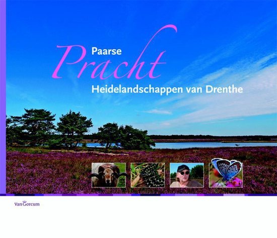 Paarse Pracht - Hans Dekker