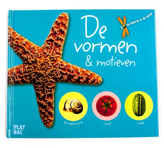De vormen & motieven