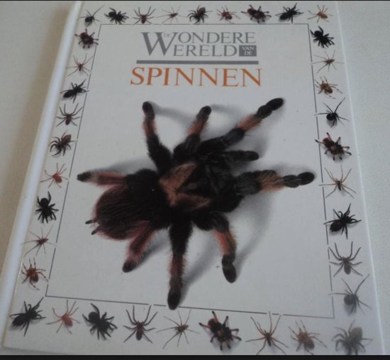 Wondere wereld van de spinnen - Alexandra Reed - Lajoux, Jerry Young