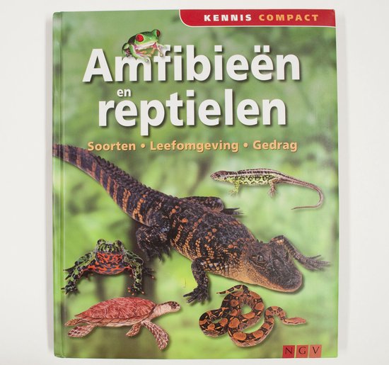 Amfibieen en reptielen