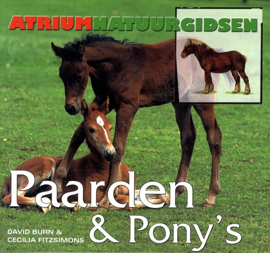 Atrium natuurgidsen, Paarden en ponny s - David Burn, C. Fitzsimons