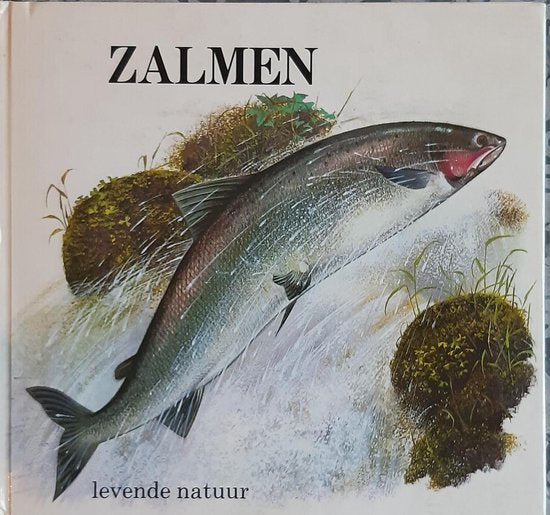 Zalmen - Nicolas
