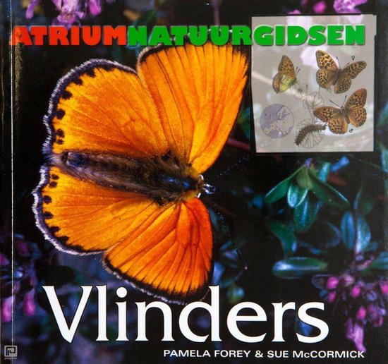 Vlinders - Pamela Forey