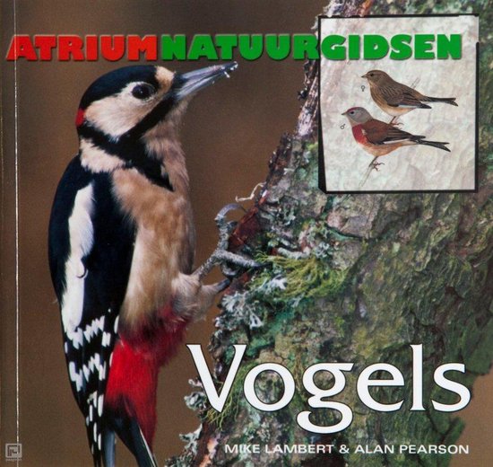 vogels - Onbekend