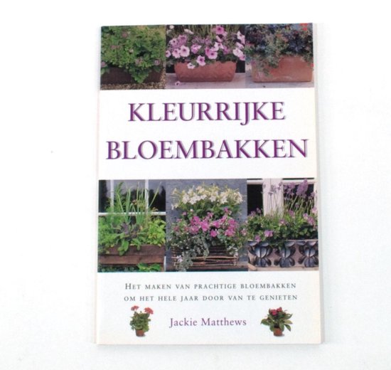 kleurrijke bloembakken - Jackie Matthews