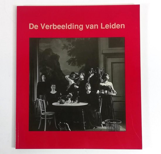 De verbeelding van Leiden - Taco Anema, Gosewijn van Beek