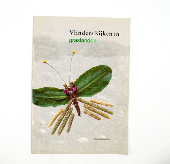 Vlinders kyken in graslanden - Halder