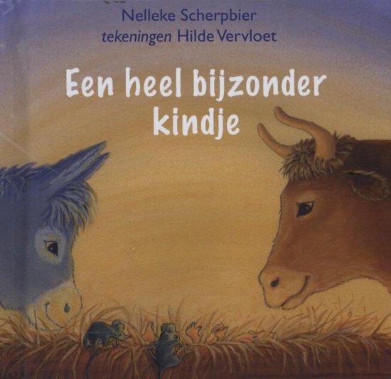 HEEL BIJZONDER KINDJE, EEN - miniboekje - Nelleke Scherpbier, Hilde Vervloet