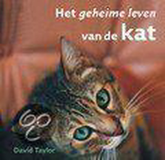 Het geheime leven van de kat - D. Taylor