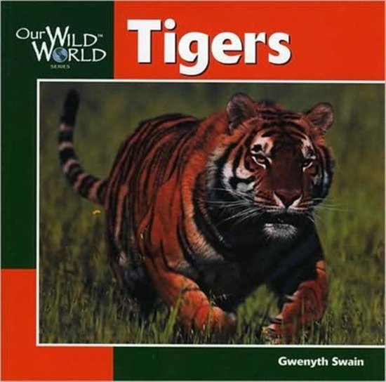 Tigers - Gwenyth Swain