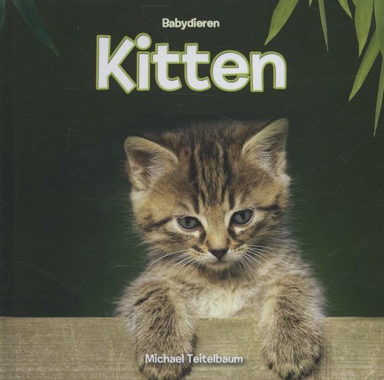 Babydieren - Kitten - Michael Teitelbaum