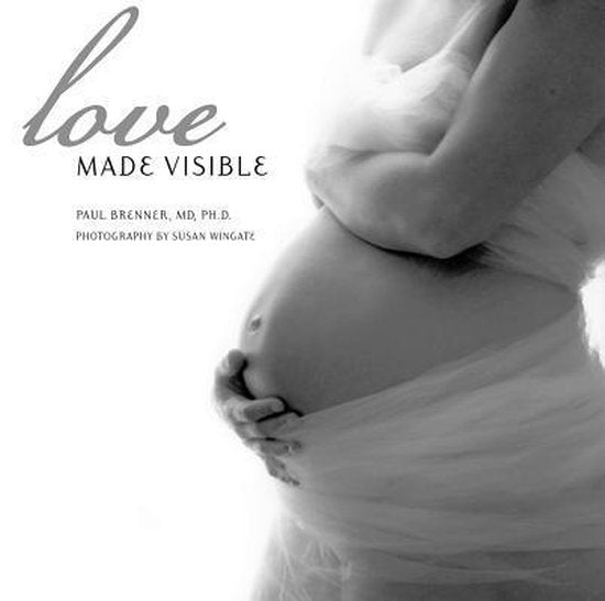 Love Made Visible - Susan Wingate, Paul Brenner