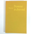 Promesse in drievoud - Marelle Boersma