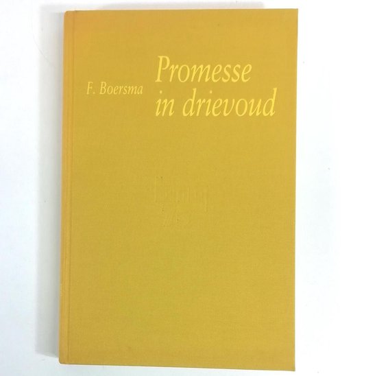 Promesse in drievoud - Marelle Boersma
