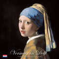 Cahierreeks 16 - Vermeer in Delft, - Michel P. van Maarseveen