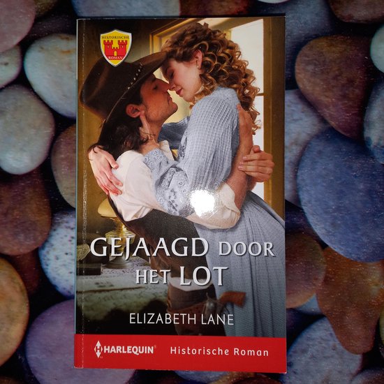Gejaagd door het lot - Elizabeth Lane
