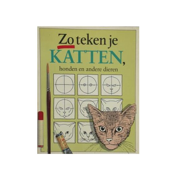 Zo teken je katten - Robertson, Sue Pinkus