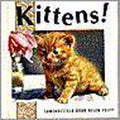 Kittens! - P. Brown