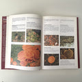 Paddenstoelen encyclopedie - Gerrit J. Keizer, Paddestoelenencyclopedie