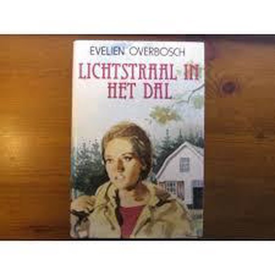 Lichtstraal in het dal - Overbosch