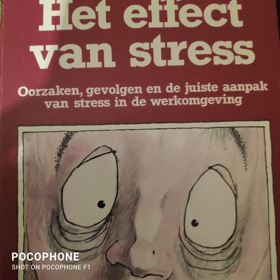 EFFECT VAN STRESS - Suesan, H.M.J.K.I. Reiche