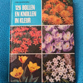 126 bollen knollen in kleur - Oudshoorn
