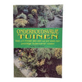 Onderhoudsvrije tuinen - Jackie Matthews
