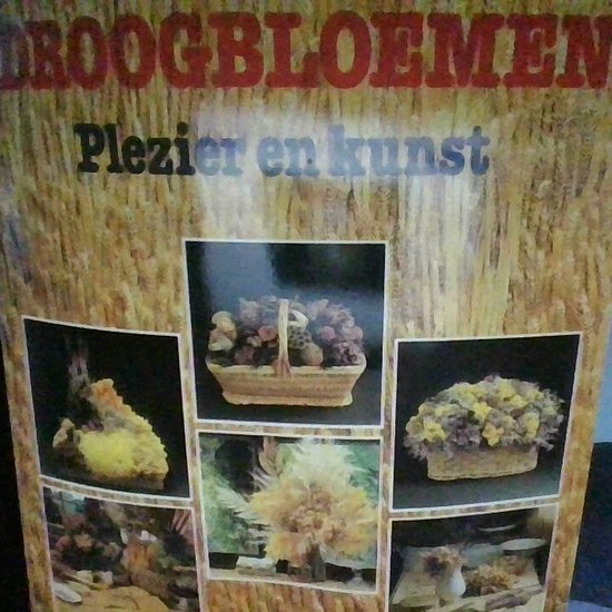 Droogbloemen - Toon Leemans, E. van Sloun