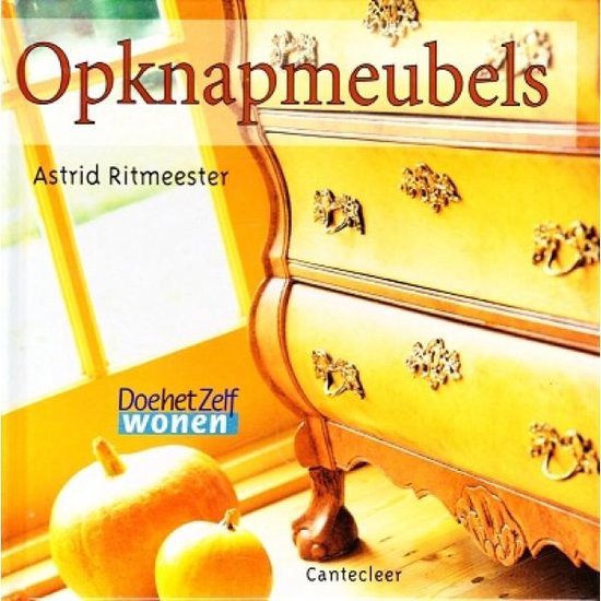 Opknapmeubels - Astrid Ritmeester