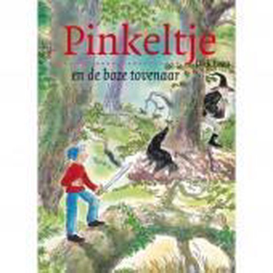 Pinkeltje en de boze tovenaar - Dick Laan, Suzanne Braam