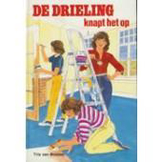 De drieling knapt het op - Trix van Brussel, Charlotte Leene