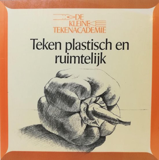 Teken plastisch en ruimtelijk - Brugel