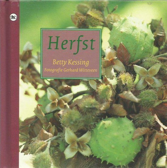 Herfst - Betty Kessing