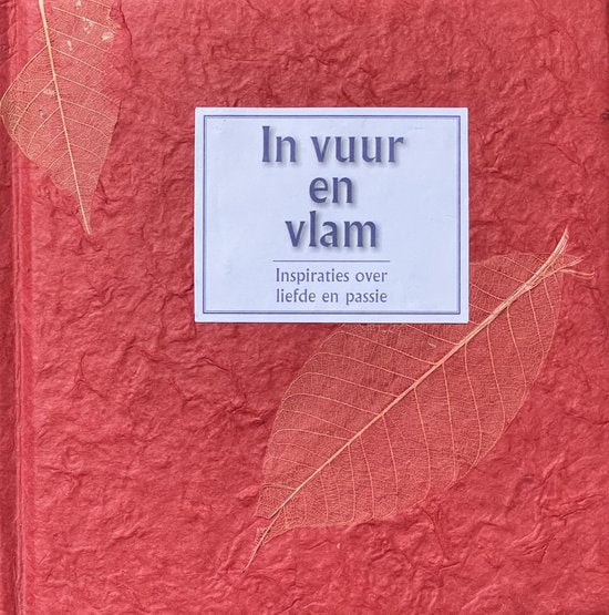 In Vuur En Vlam - Eefje Mikkers
