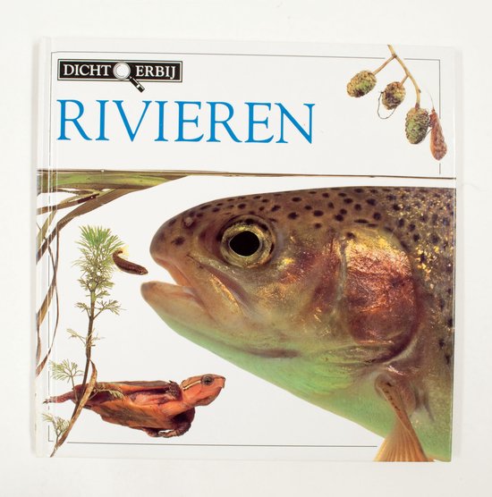 Dicht erby rivieren - Barbara Taylor Bradford