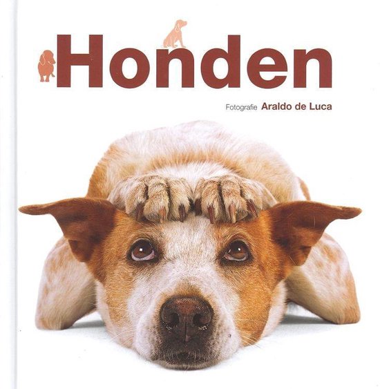 Honden - Luca, Araldo de