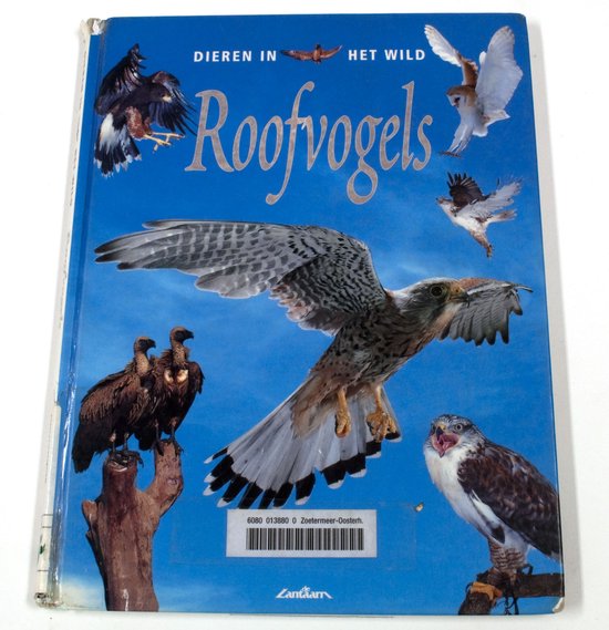 Roofvogels - Robin Kerrod