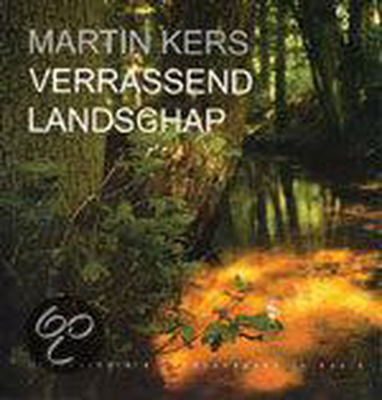 Verrassend Landschap - Frans Buissink