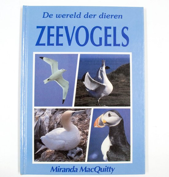 Zeevogels - Miranda Macquitty