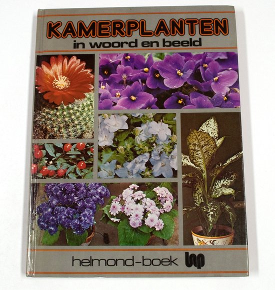 Kamerplanten in woord en beeld