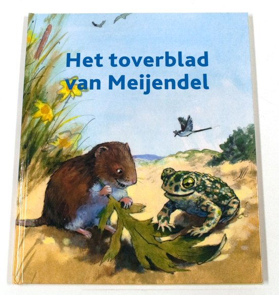 Het toverblad van Meijendel - M. de Ruijter