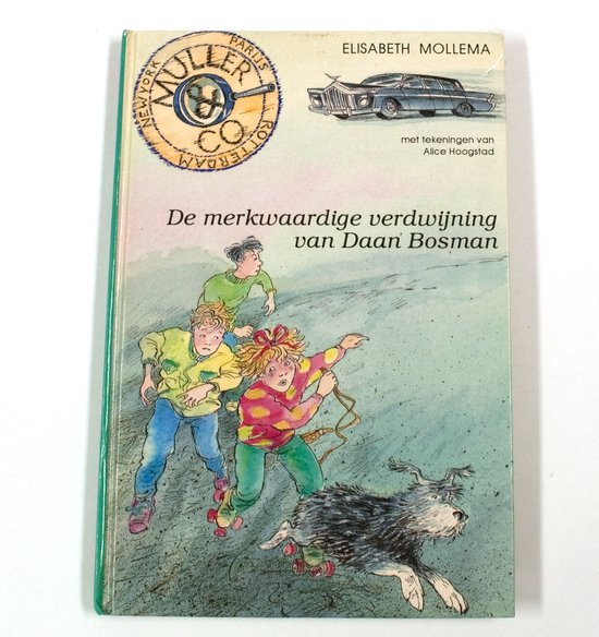 De merkwaardige verdwijning van Daan Bosman - Mollema, Alice Hoogstad