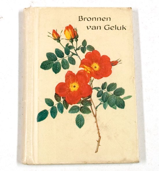 Bronnen van geluk geb