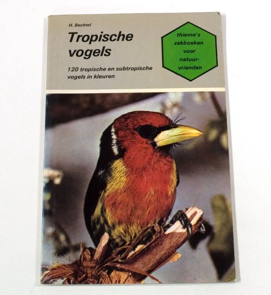 Tropische vogels - Bechtel
