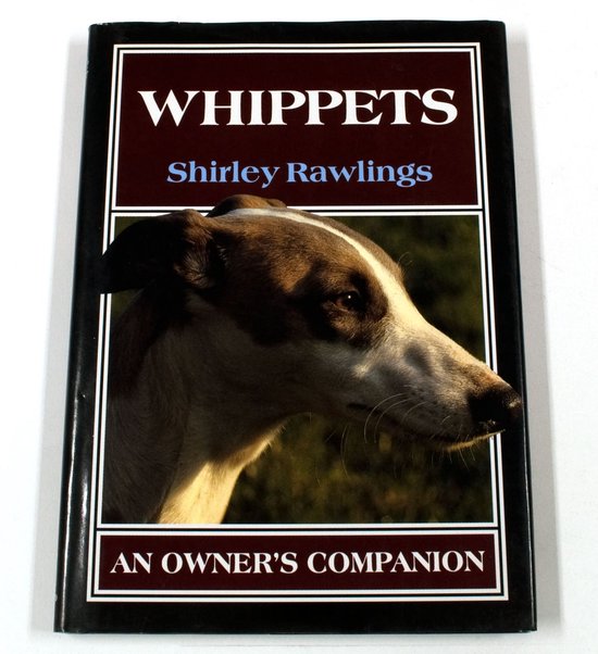 Whippets - Shirley Rawlings