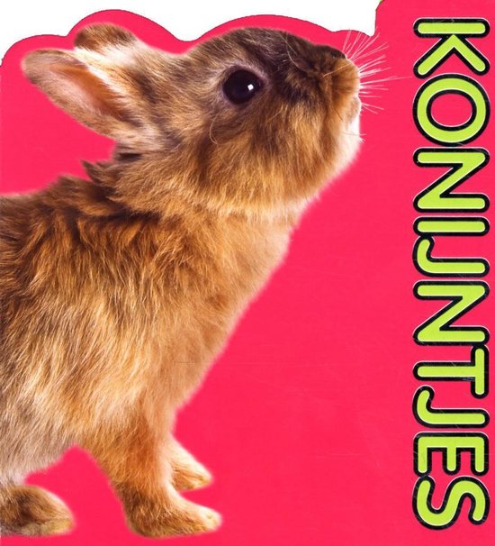 Jonge dieren Konijntjes - Niet bekend