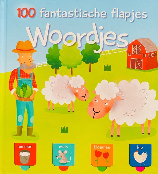 100 fantastische flapjes - Woordjes - book & service