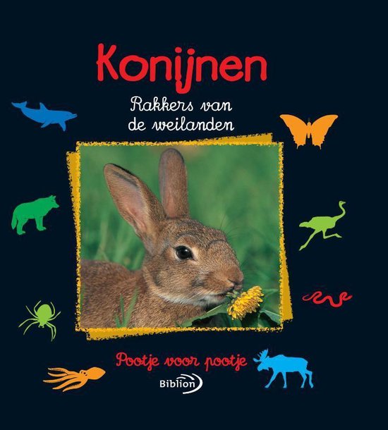 Konijnen - Valérie Tracqui