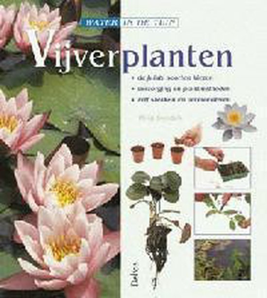 Water In De Tuin Vijverplanten - Philip Swindells